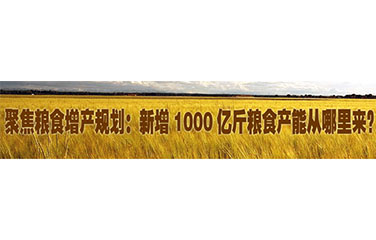 全國(guó)新增1000億斤糧食生(shēng)産能力遊仙區(qū)2015年(nián)田間(jiān)工(gōng)程建設項目